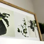 La Corte Apartamento *